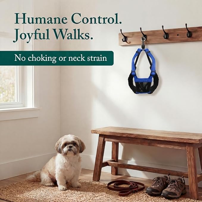 SPORN Mesh Non Pull Dog Harness Small Blue, Perfect for Training-Stops Dogs from Pulling and Choking on Walks for Small, Medium and Large Dogs, Puppy Harness, No Pull Harness, No Choke Harness