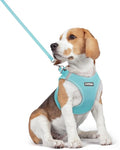 rabbitgoo Dog Harness Small Medium Sized and Leash Set, Step in Soft Light Puppy Vest, Breathable Mesh Pet Harness, Reflective for Safe Easy Walking, Mint Blue L