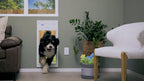 Power Pet Roll Up Automatic Electronic WiFi Pet Door by High Tech Pet - Space-Saving, Pet Operated Dog Door, App Control, Safe, Secure, Air Tight (Wall Mount, Medium)