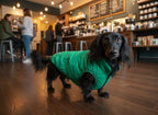 ASENKU Dog Winter Coat - Waterproof Windproof Dog Jacket, Warm Snowproof Doggie Puffer Vest for Cold Weather, Lightweight Snow Coats for Small Medium Large Dogs (XL, Green)