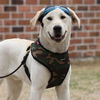 Puppia Soft Dog Harness No Choke Over-The-Head Triple Layered Breathable Mesh Adjustable Chest Belt and Quick-Release Buckle, Camouflage, X-Small