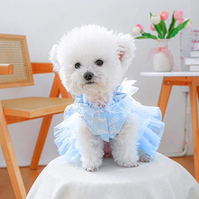 Fashion Sweet Puppy Dog Blingbling Princess Skirt Pet Dog Lace Cake Camisole Tutu Dress F-Blue XS