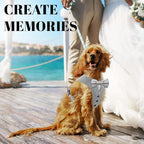 AVERYDAY Dog Tuxedo for Wedding Outfit, Dog Suit and Tie Costumes for Birthday, Halloween, Cosplay, Christmas Party, Pet Formal Wear with Bowtie, Tux for Small Dogs, Chihuahua, Bichon, Maltese, Cats