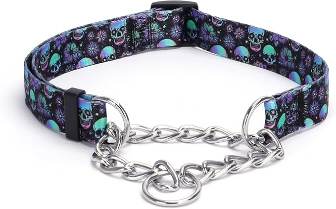 Martingale Dog Collar with Steel Chain, Adjustable Nylon for Training, Walking - Medium, Large, XL Dogs (S, Skull)