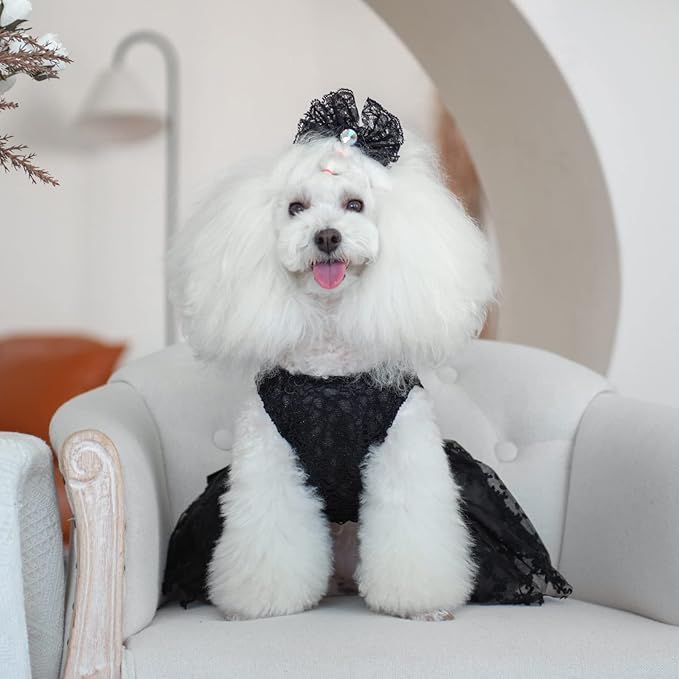 CuteBone Dog Birthday Dress Girl Puppy Skirt Tutu Cat Wedding Outfit Pet Party Clothes for Small Dogs Costume DD15XS