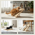 Cat Scratching Pad with 100% Sisal, Stable Triangle Design, 2-Step No-Tool Assembly, 22" Wooden Ramp to Protect Furniture & Sofa, Natural Incline Board for Indoor Cats (Beige)