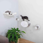 Trixie Wall Mounted Cat Lounge Set with Hammock & Condo – Climbing Shelves with Plush Condos & Sisal Steps – Wall-Mounted Cat Furniture for Scratching & Lounging – Gray, 18.75 x 11 x 11.25 in