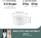 Ceramic Dog Bowl, Food and Water Bowl for Medium Breed Dog, Pet Bowl for Replacement (7.3 inch, Single Bowl, White)