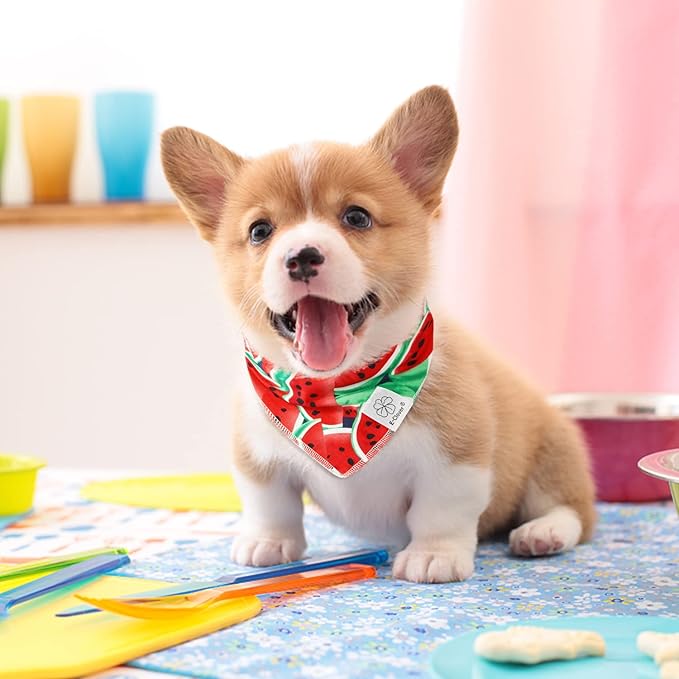 E-Clover Dog Bandanas Summer & Matching Scrunchie Set Dog Bandana Bibs Washable Kerchief Scarf for Small Dogs Puppy & Owner Watermelon