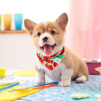 E-Clover Dog Bandanas Summer & Matching Scrunchie Set Dog Bandana Bibs Washable Kerchief Scarf for Small Dogs Puppy & Owner Watermelon