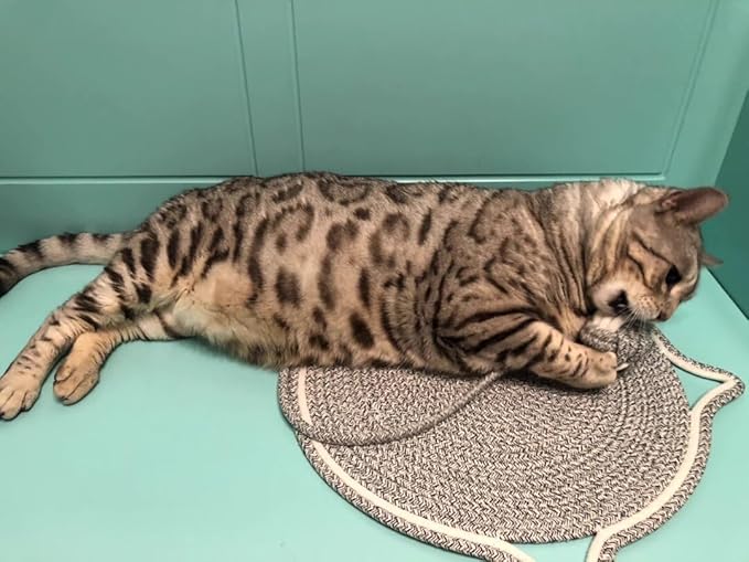 LOS ANDES 15.7'' Cat Scratcher Mat, Natural Cotton Rope Round Pad for Cats, Indoor Scratching Pads with Chew Rope and Ball, Cat Furniture Protector for Wall, Couch, Carpets, Sofa