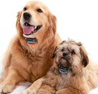 Universal Replacement Band Strap for Dog Training Collar 27 ½” X ¾” - Adjustable Waterproof TPU for Remote E-Collar, Static/Vibration Shock Bark Control & Obedience Trainer - Bonus 2-Pack.