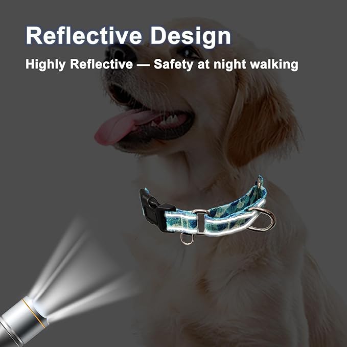 Reflective Martingale Collar with Buckle Adjustable Nylon Training Pet Collars for Medium Dogs (Turquoise Shell, M)