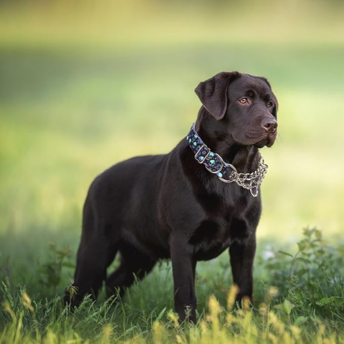 Stainless Steel Choke Collar for Dogs,Martingale Collar for Dogs,No Pull Dog Collar for Large Dogs,Training Escape Proof Heavy Duty Dog Dog Collar for Medium Large Pet Boy Male Dogs, Skull XL