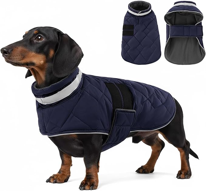 KAMA BRIDAL Dog Winter Coat Warm Padded Puppy Jacket Windproof Water Resistant Clothes for Small Medium Large Pets Christmas Sweater Outfit Vest(DarkBlue, S)