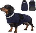KAMA BRIDAL Dog Winter Coat Warm Padded Puppy Jacket Windproof Water Resistant Clothes for Small Medium Large Pets Christmas Sweater Outfit Vest(DarkBlue, S)