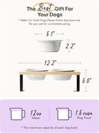 Elevated Dog Bowls, Raised Dog Bowl Stand with Two 5.1 inch Ceramic Bowls, Non-Slip Cat Food and Water Dish for Small and Medium Breed, White