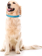 SGODA Martingale Dog Collar, Reflective Nylon Padded Dog Training Collars for Large Dogs, Blue L