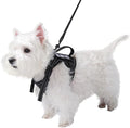 Tactical Dog Harness for Small Dog - Reflective Puppy Pet Vest No Pull Military Service Dog Vest with Vertical Handle XS Dog Harness for Outdoor Training