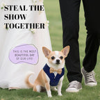 AVERYDAY XS Pet Tuxedo Harness, Wedding Costume Outfit for Small Dogs, Slim Cats and Tiny Pets with 9.1" Neck, 14.2-18.9" Chest, 9" Max Head Girth, Formal Suit Costume for Mini Breeds