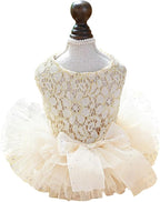 ANIAC Small Dog Dresses,Girl Puppy Princess Tutu Dress with Bow Knot,Cat Outfit,Chihuahua Yorkie Clothes for Birthday Wedding (X-Small,GL)