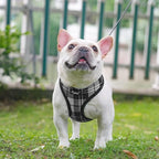 PUPTECK Soft Mesh Dog Harness and Leash Set Pet Puppy Cat Comfort Padded Vest No Pull Harnesses, Black&White, XS