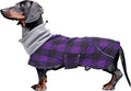 Dachshund Coats Waterproof Suitable for Dachshunds Sausage Weiner Dog Winter Coat Padded Fleece Puppy Snowsuit with Adjustable Bands Reflective Stripe - Plaid Purple - L