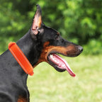 Tactical Dog Collar with Heavy Duty Metal Buckle and Control Handle for Medium Large Dogs Training(Orange, X-Large)