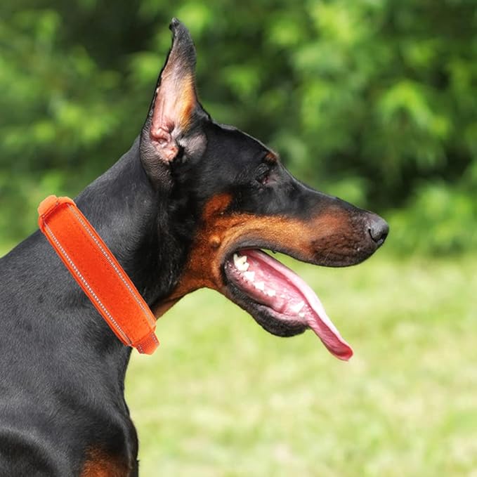 Tactical Dog Collar with Heavy Duty Metal Buckle and Control Handle for Medium Large Dogs Training(Orange, Medium)