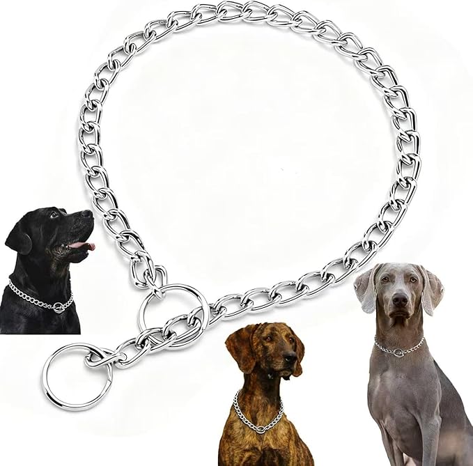 Martingale Dog Collar for Small Dogs, Adjustable Safety Choker Collar for Puppy Training, Limited Slip Control for XS S Neck, Silver XS