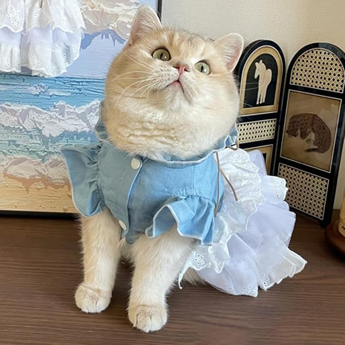 Pink Dog Dress for Small Dog Girl Spring Puppy Clothes with Bow Puff Sleeves Cat Outfit Doggy Princess with Leash Ring Doggies Harness Dress Summer Pet Apparel (Blue, X-Small)