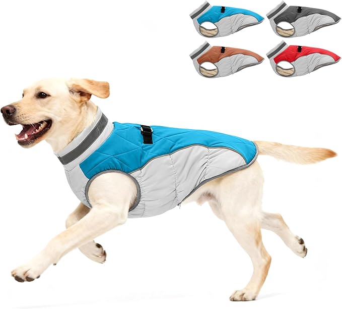 Dog Winter Coat for Medium Dogs, Adjustable Puppy Warm Jackets in Cold Weather, Reflective Pet Fleece Vest with External Attachment Points, ZippeBlue Cold-Weather Dog Winter Clothes, M Blue