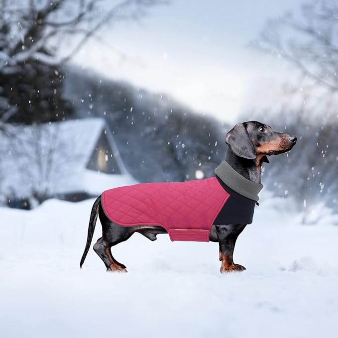 Geyecete Dachshund Coat,Dachshund Winter Coat,Warm Waterproof Windproof, High Neckine String Holes Miniature Dachshund Jacket for Small Dog-Pink-S