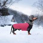 Geyecete Dachshund Coat,Dachshund Winter Coat,Warm Waterproof Windproof, High Neckine String Holes Miniature Dachshund Jacket for Small Dog-Pink-XS