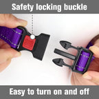 Joytale Martingale Collar for Dogs, Reflective Heavy Duty for Safety, Quick Release Buckle, Adjustable Nylon Collars for Medium Dogs Walking Training, Purple,M