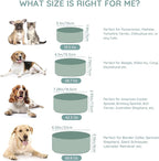 SPUNKYJUNKY 42OZ Ceramic Dog and Cat Bowl, Modern Cute Weighted Food Water Bowl for Replacement Morandi Green (2 Pack)