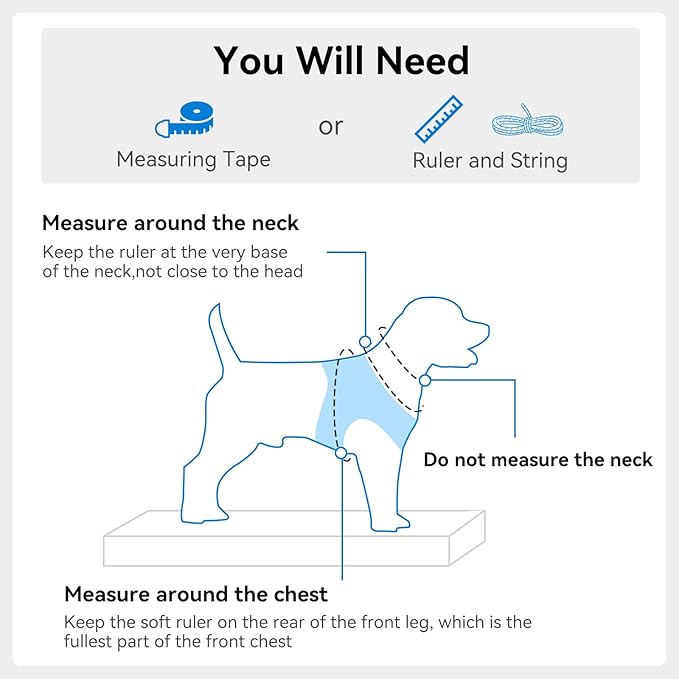 Joytale Small Dog Harness, Breathable Mesh Step-in Vest, Reflective Soft Padded Harnesses for Cats, Puppies and Extra Small Dogs, Sky Blue, XXS