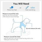 Joytale Small Dog Harness, Breathable Mesh Step-in Vest, Reflective Soft Padded Harnesses for Medium Dogs, Sky Blue, XL