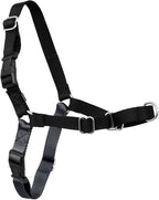 PetSafe Easy Walk Harness for Dogs - Pull-Free Walks - Patented Martingale Loop Design - Front Chest Leash Attachment - Comfort Straps - Breathable Harness Design - Small, Charcoal/Black