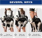 FCT Dog Backpack Carrier - Spine-Friendly for Midium to Large Dogs (18-30 lbs), Horizontal Design Dog Carrier with Adjustable Back Straps,Legs-Out Comfort for Travel/Hiking/Cycling (Black, Size L)