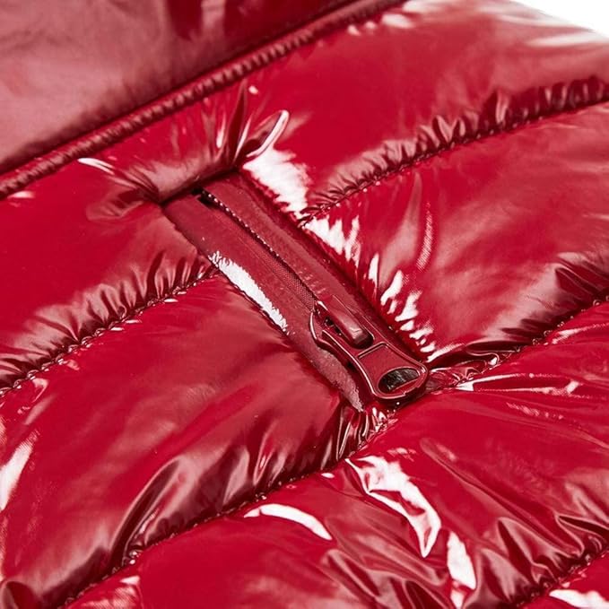 Blueberry Pet Cozy & Comfy Windproof Lightweight Quilted Fall Winter Glossy Dog Puffer Jacket in Deep Rouge, Back Length 22.5", Size 20, Warm Coat for Large Dogs