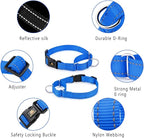 Plutus Pet Reflective Martingale Collar with Buckle - Durable and Adjustable Training Collar for No Pulling, Dog Choker Collar for Small Medium Large Dogs, Royal Blue, L
