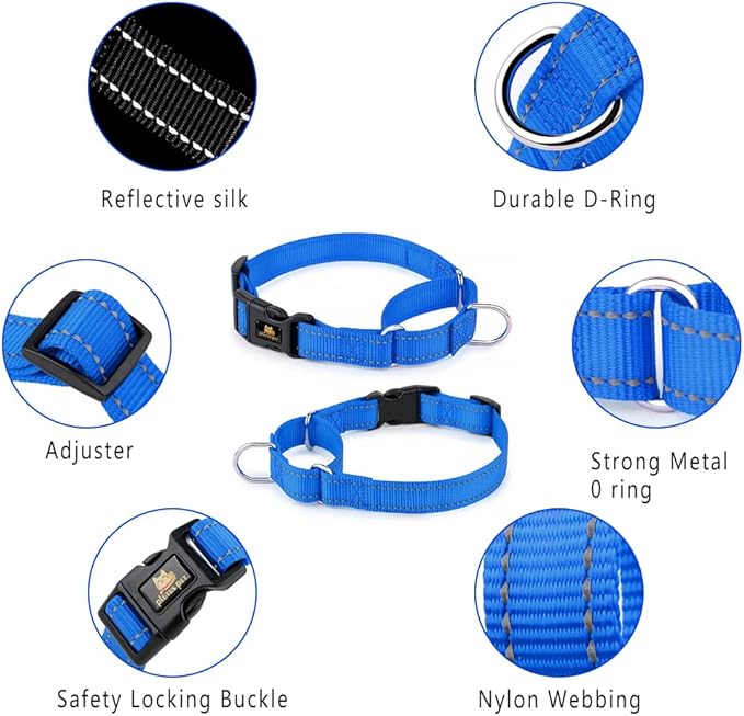 Plutus Pet Reflective Martingale Collar with Buckle - Durable and Adjustable Training Collar for No Pulling, Dog Choker Collar for Small Medium Large Dogs, Royal Blue, L