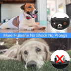 PaiPaitek No Shock Dog Training Collar with Remote, Lightest Vibration Collar for Small Dogs 5-15lbs & Medium Large Dogs, Rechargeable, Waterproof, 1600ft Range, No Prongs