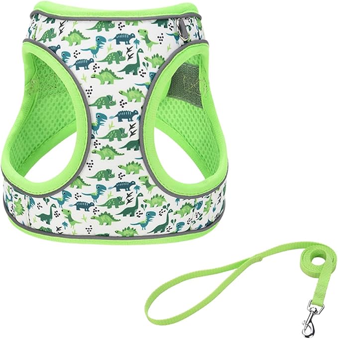Step in Dog Harness No Pull Dinosaur Adjustable Soft Mesh Padded Reflective Pet Vest Harness and Leash Set for Small Medium Dogs