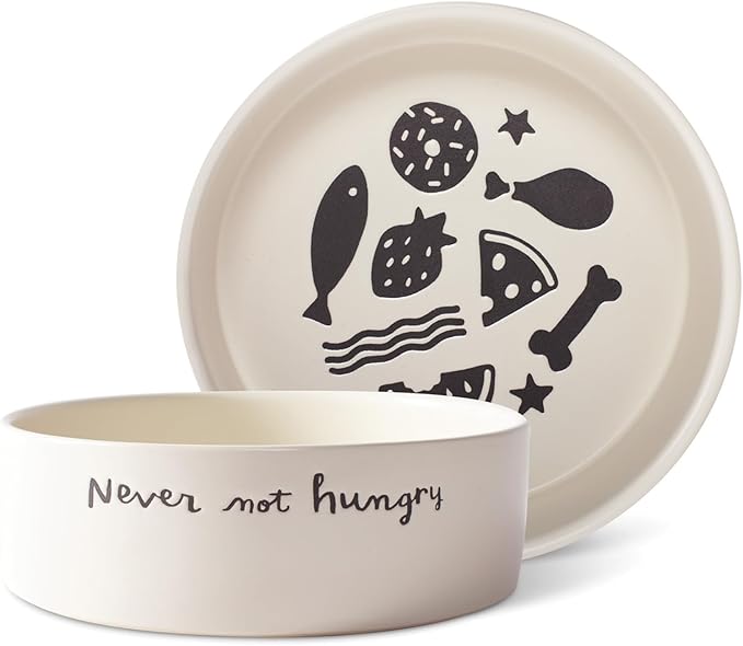 Fringe Studio Never NOT Hungry Medium Wax Resist Ceramic Pet Bowl (6.5" Diameter x 2.5" H, 36 fl.oz.), PetShop Collection (474505)