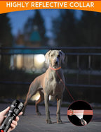 PaiPaitek Replacement Shock Collar Strap with Metal Ring, Reflective Nylon, Black/Orange, 3/4 Inch x 28 Inch, Compatible with Multiple Training Collars, 2 Packs
