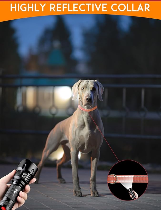 PaiPaitek Replacement Shock Collar Strap with Metal Ring, Reflective Nylon, Black/Orange, 3/4 Inch x 28 Inch, Compatible with Multiple Training Collars, 2 Packs