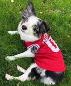 NCAA Basketball Pet Jersey INDIANA HOOSIERS Dog Jersey, Medium