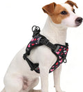PUPTECK No Pull Dog Harness Small Sized Dog, Adjustable Reflective Escape Proof Easy Control, Comfortable Soft Padded Step in Pet Vest Harness, Heart, S